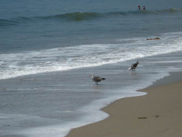 617x456 pixels (74K)